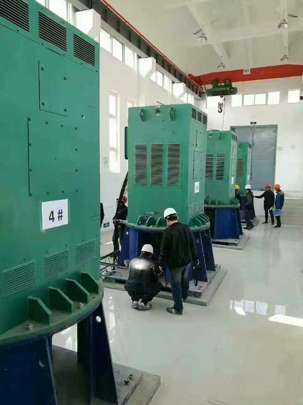 惠州某污水处理厂使用我厂的立式高压电机安装现场